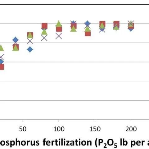 thumbnail for publication: Developing a Soil Test Extractant: The Correlation and Calibration Processes